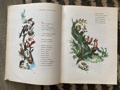 Div a zázrak (1981), 