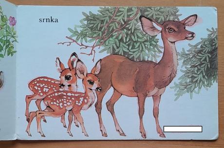 Medzi zvieratkami v lese,