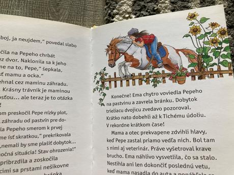 Boj o tajnú skrýšu (2010),