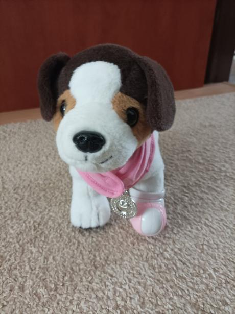 Psik bolavou labkou, 