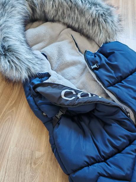 Fusak cottonmoose north yukon, 