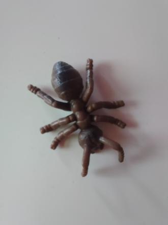 Chrobáčik-mravček,