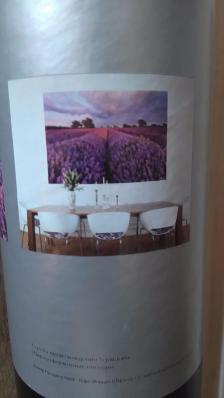 Nová fototapeta - levandulové pole, 