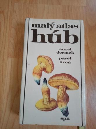 Kniha huby,