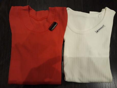 Termopadlo progress, 110