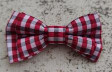 Chlapčenský motýlik, 