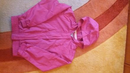 Tensia bundicka , l.a. gear,128