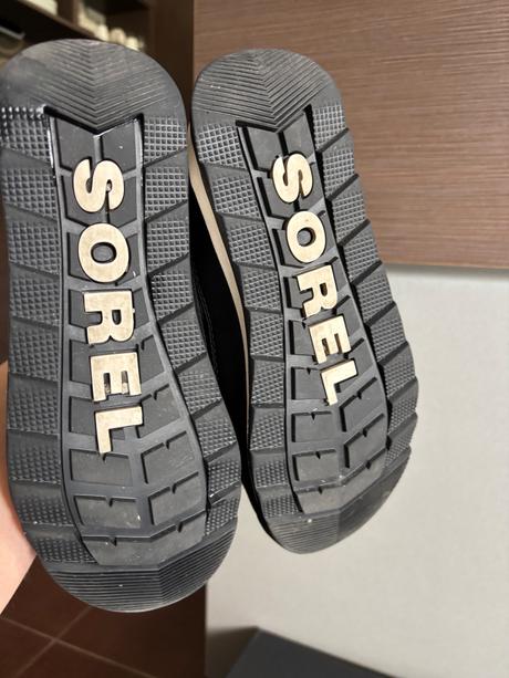 Snehule sorel, sorel,35