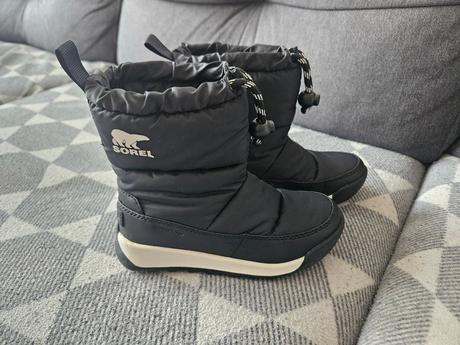 Snehule sorel, sorel,28