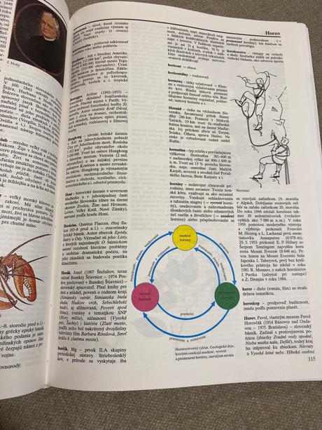 Veľký školský lexikón slovenské pedagogické nakl, 