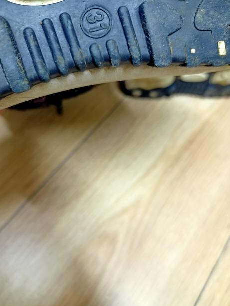 Snehule cortina, veľ. 31, 31