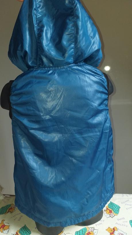 Vesta prechodna., 128