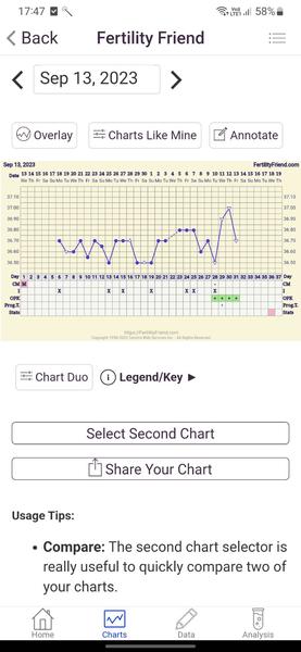 Kedy nastala ovulácia?