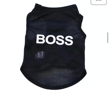 Oblecenie pre menšieho psika,