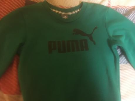 Pulovrik, puma,140