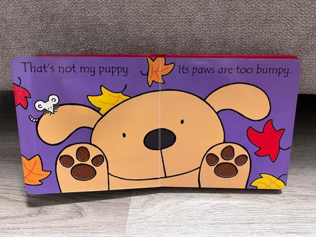 Anglická kniha pre najmenšich, 