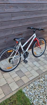 Bicykel author ultima, author,24