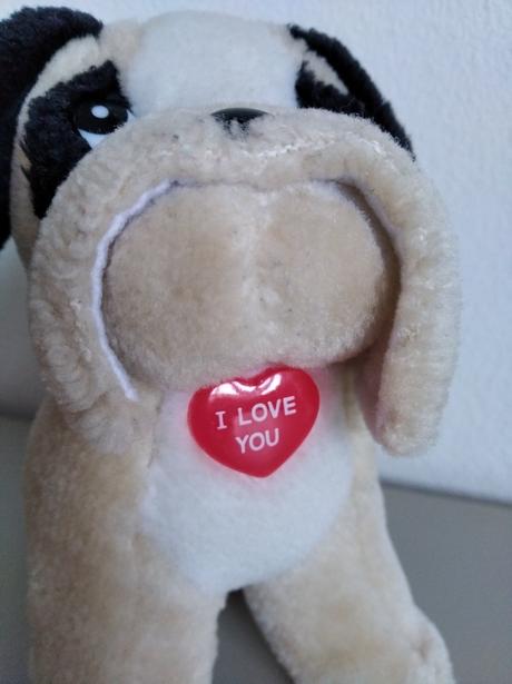 Psík so srdiečkom,