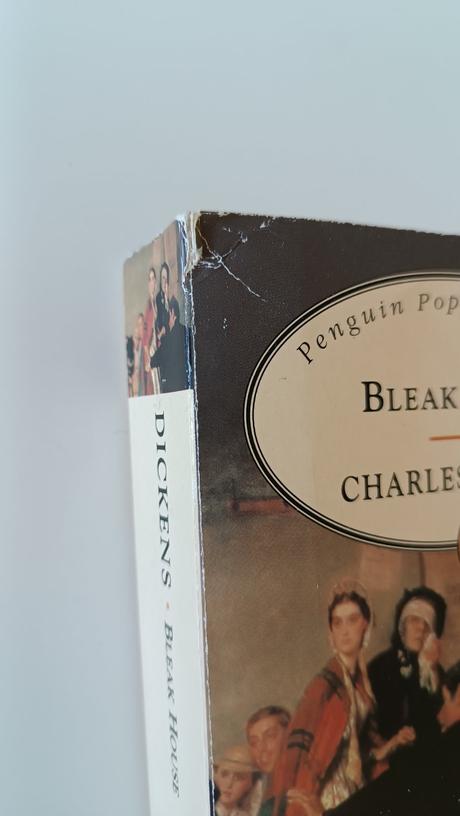 Charles dickens, bleak house,