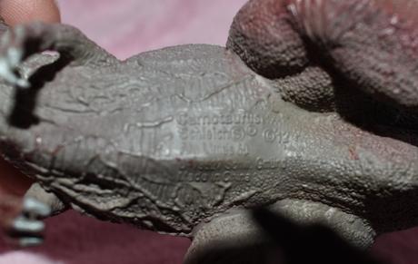 Schleich dinosaurs carnotaurus,