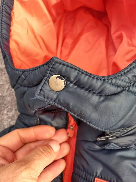 Prechodna vesta, losan, 80, losan,80