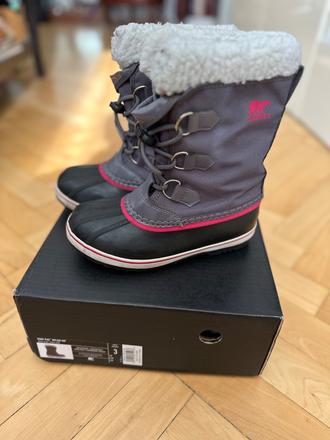 Snehule sorel, sorel,34