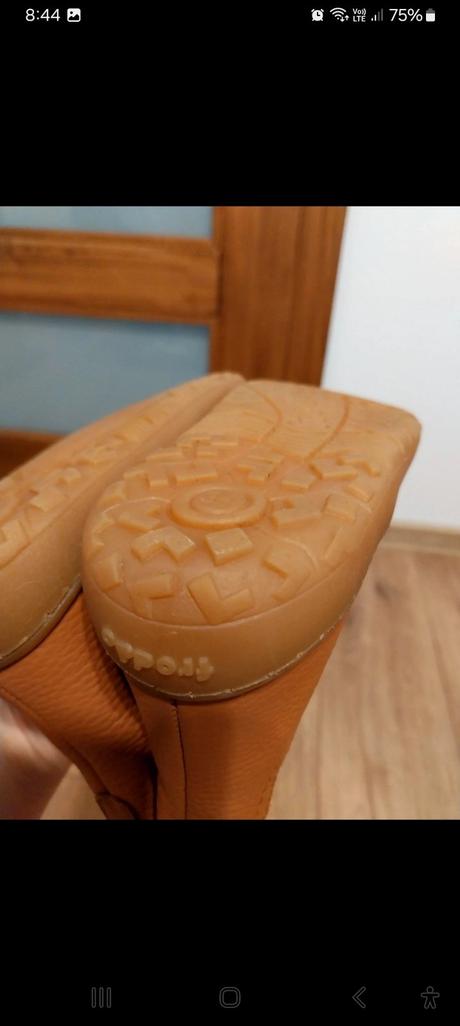 Froddo celys, froddo,34