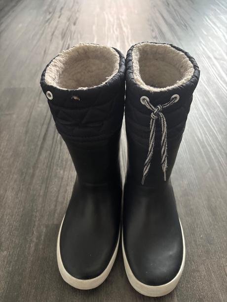 Aigle snehule, aigle,31