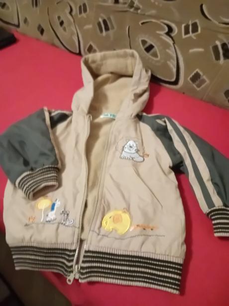 Vetrovka prechodna, frog,116