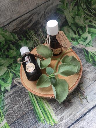 Tinktúra nádchovník, 