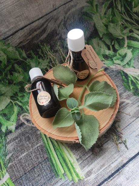 Tinktúra nádchovník, 