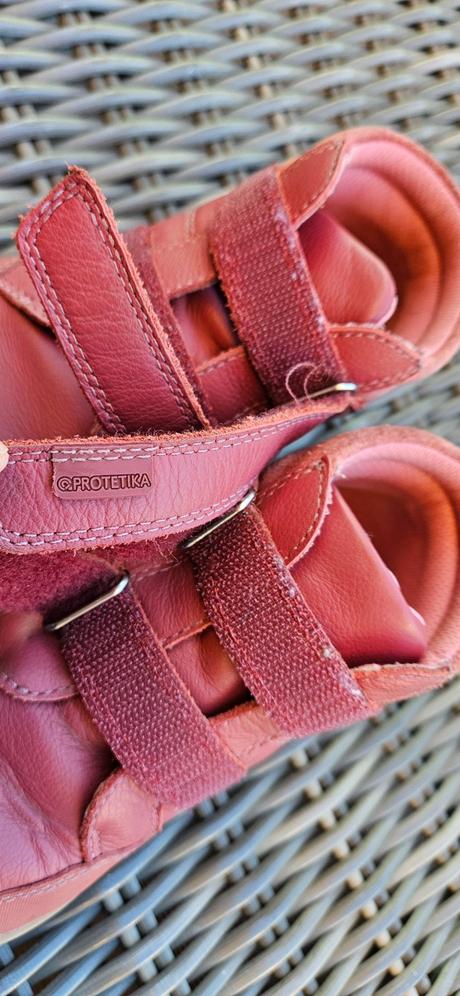 Protetika fila v. 29, protetika,29