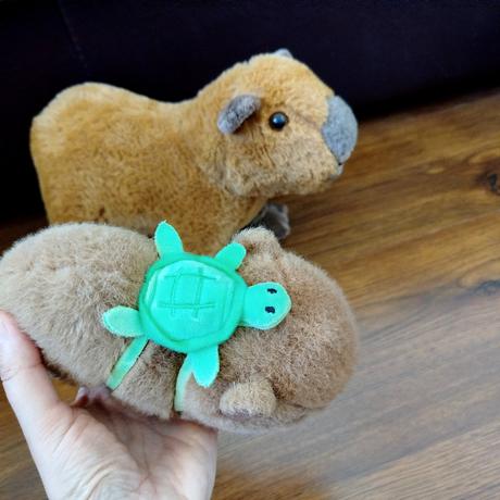 Capybara 2ks,
