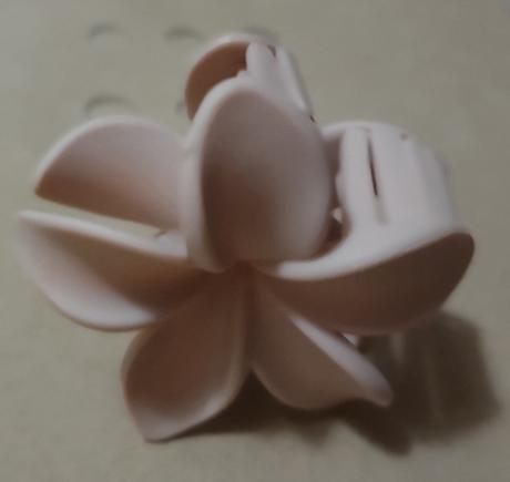 Velky stipec plumeria,