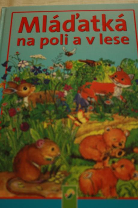Rozpravky na dobru noc 93 strany,