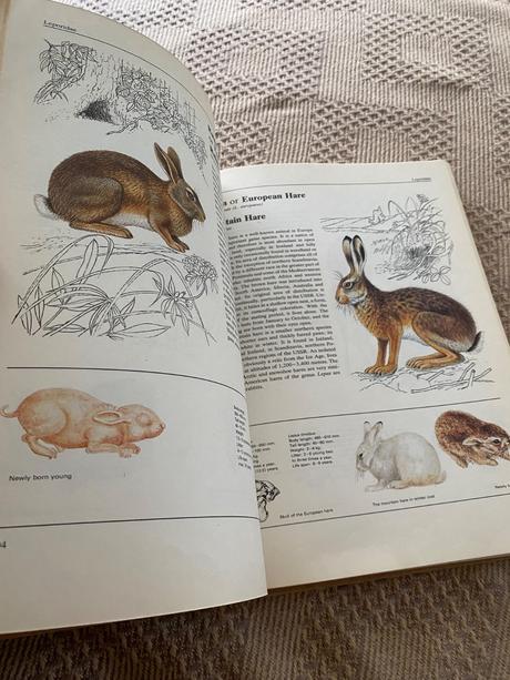 Jana horackova illustrated book of animal life,