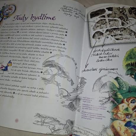 Velká kniha diddl a jeho přátelé, 