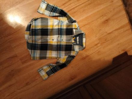 Kosela, timberland,86