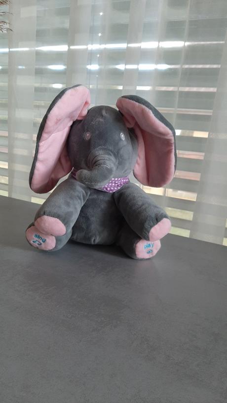 Spievajúci sloník,