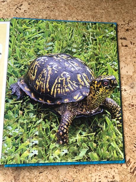 Kniha s puzzle domáce zvieratká,