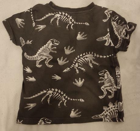 Tričko dino, f&f,104