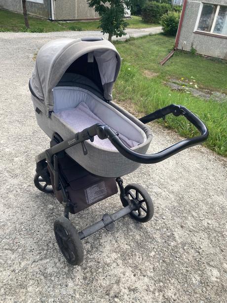 Kočík roan bloom, roan,roan bloom