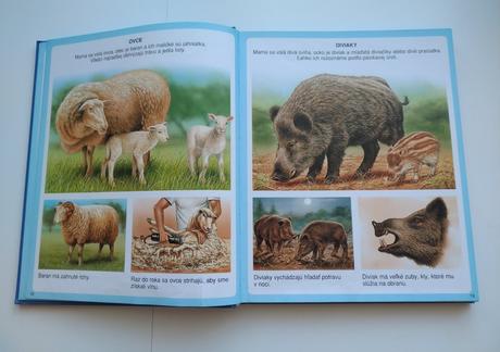 Nové obrázky zvierat, 