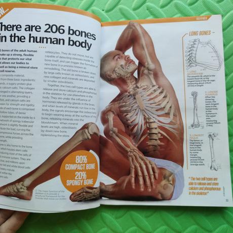 Did you know 124 stran,