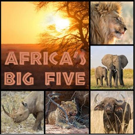 Servítka afrika - zvieratá safari 4ks (s68), 