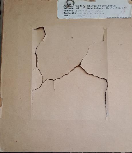 Obraz silvie fridrichovej kytica na okne, 