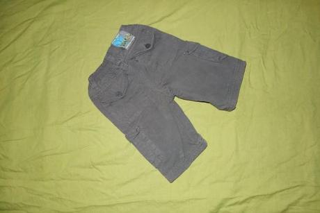 Podsite gatusky ladybird, ladybird,62