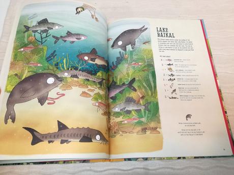 The amazing animal adventure nsp21, 