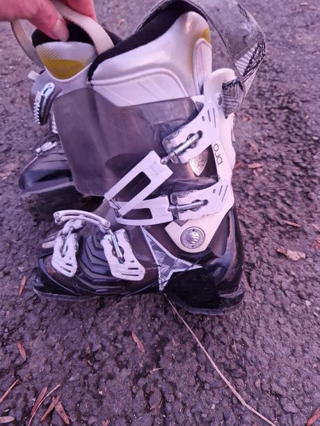 Lyžiarky, dalbello,24