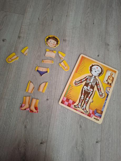 Woody puzzle, ľudské telo,